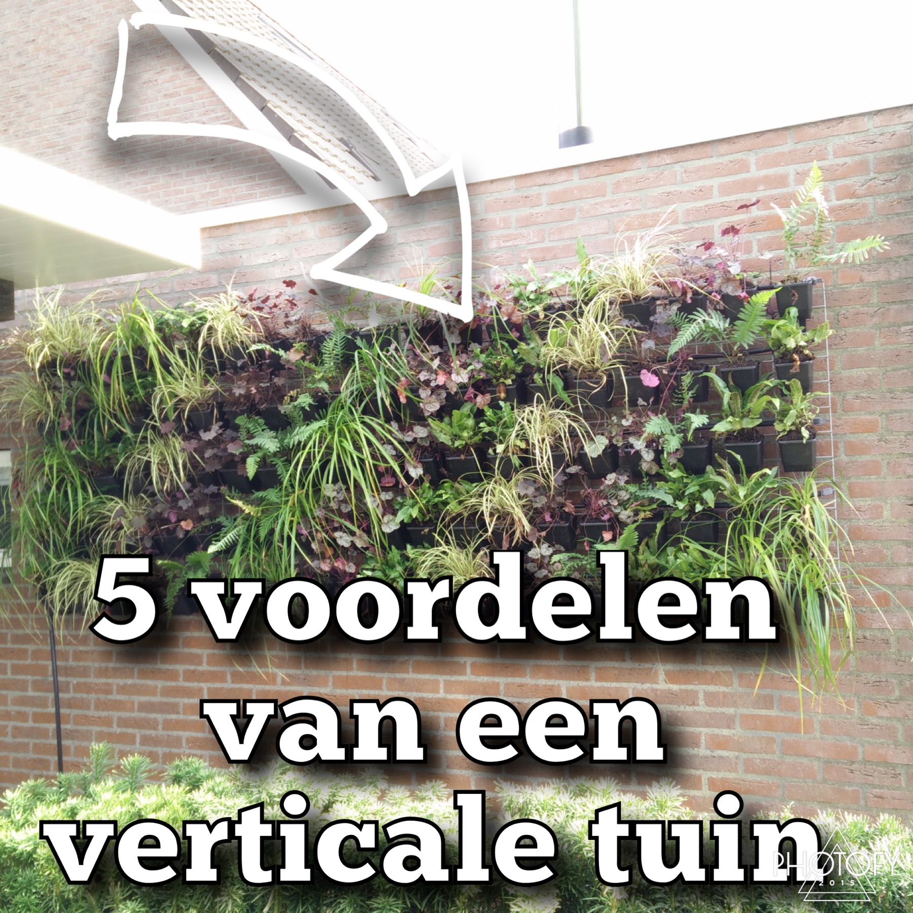 5 voordelen verticale tuin