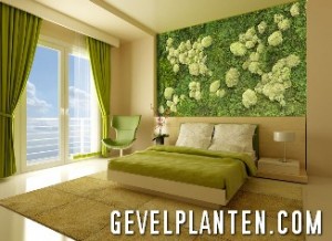 Groene muur decoratie in uw bedkamer - Gevelplanten.com